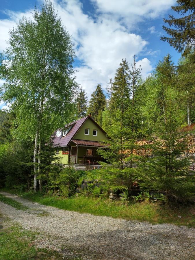 Green House Gheorgheni  Zewnętrze zdjęcie