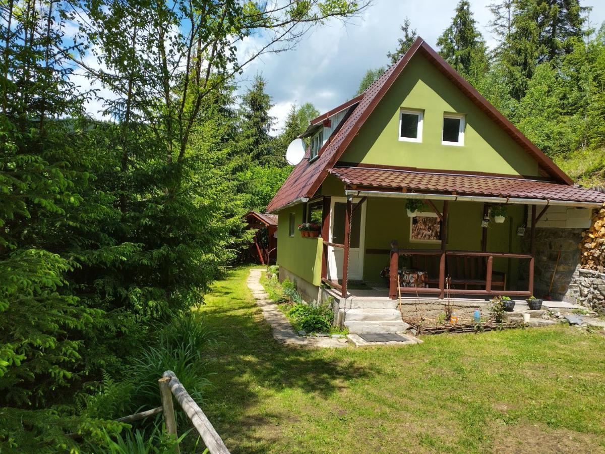 Green House Gheorgheni  Zewnętrze zdjęcie
